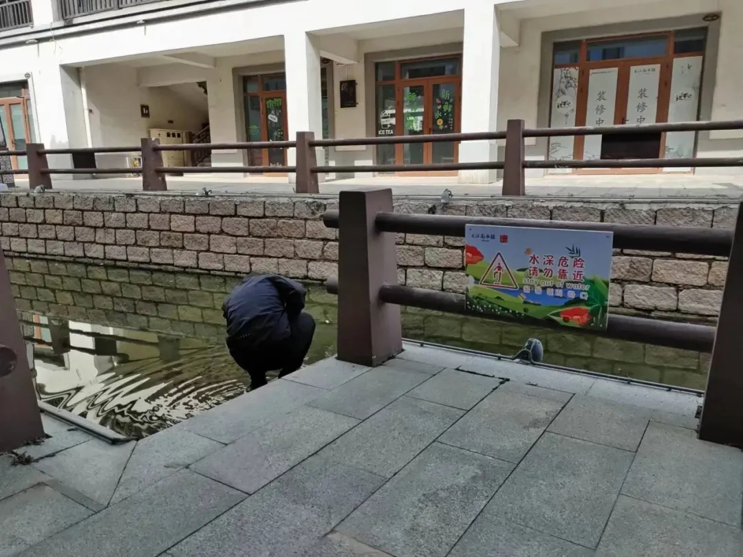 05.webp.jpg